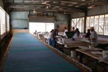 Working at Tiwi Design